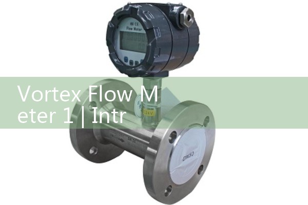 Vortex flowmeter 1